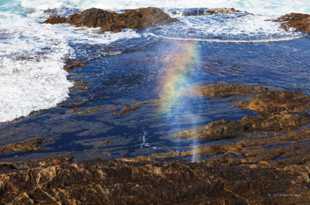 Blow hole near Mendocino-5423